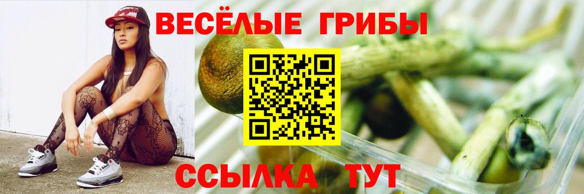 Великий Устюг  Псилоцибиновые грибы мицелий  Вход с VPN  Псилоцибиновые грибы мухоморы 